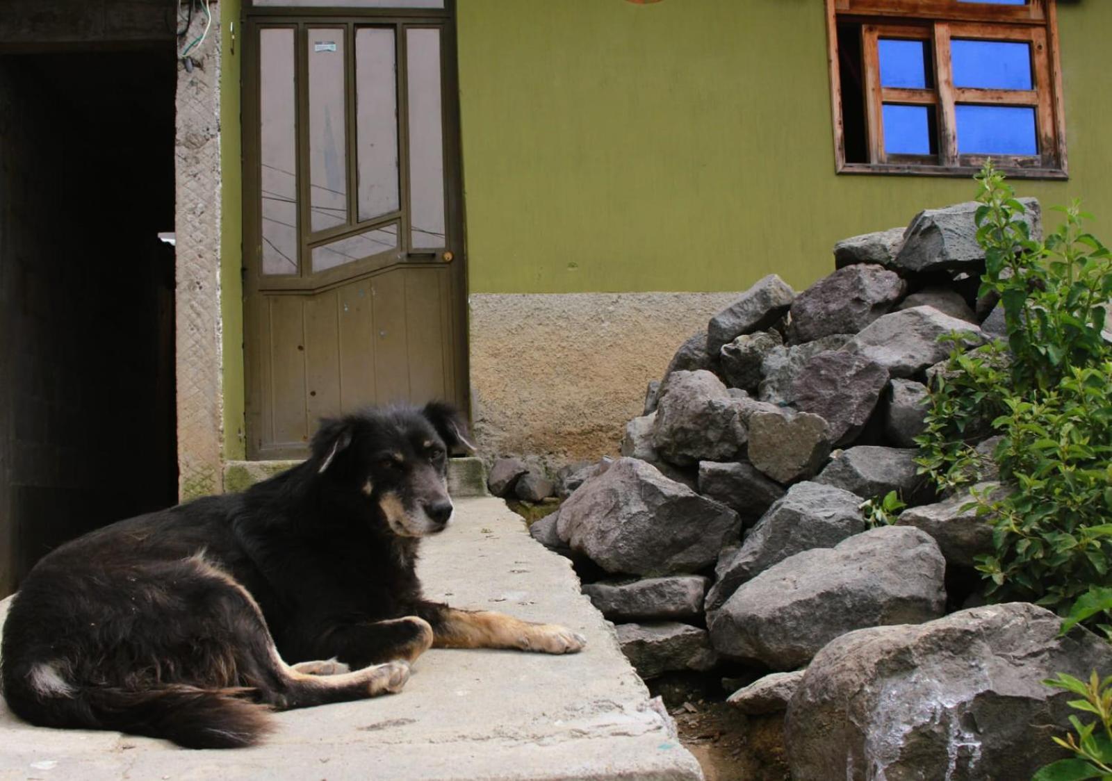 Posada Del Viajero - Mayan Travelers Inn Santa Cruz La Laguna Bagian luar foto